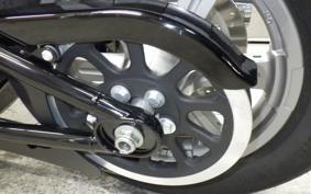 HARLEY FXST1750 2024