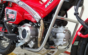 HONDA CT125 HUNTER CUB JA65