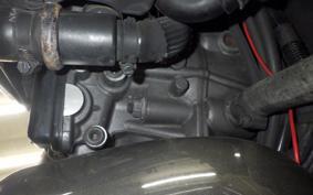 DUCATI ディアベルカーボン 2011
