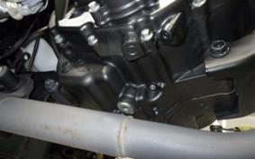HONDA REBEL 250 A 2024 MC49