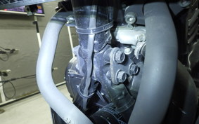 SUZUKI Vｽﾄﾛｰﾑ250 2010