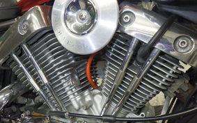 YAMAHA VIRAGO 250 2021 3DM