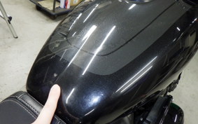 HARLEY FXFB1750 2019