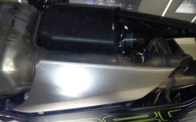 TRIUMPH DAYTONA660 2024