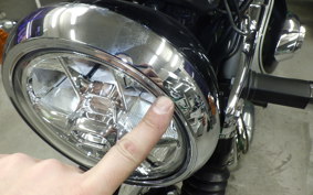 KAWASAKI W800 2019 EJ800B