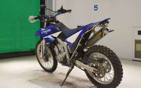 YAMAHA WR250R DG15J