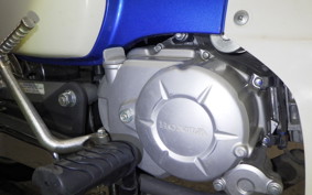 HONDA C110 SUPER CUB 2021 JA44
