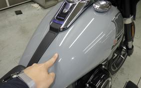 HARLEY FLSB 1750 2025