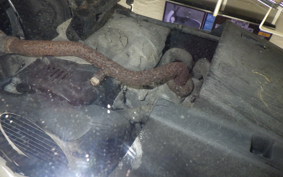 YAMAHA JOG ZR Gen.3 SA39J