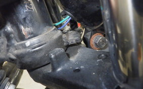 SUZUKI GRASS TRACKER Bigboy 2025 NJ4BA