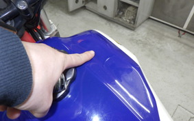 HONDA XL250R PARIS-DAKAR  2010 MD03