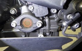 BMW G310GS 2024