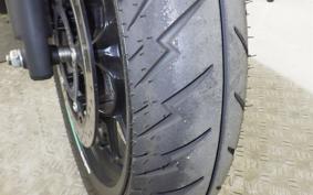 OTHER +ENFIELD HUNTER350 2025