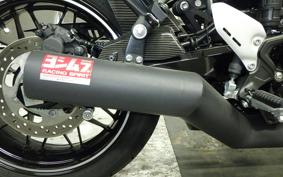 KAWASAKI Z900RS 2024 ZR900K