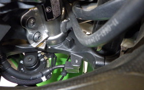 KAWASAKI ZX-4RR 2024 ZX400P