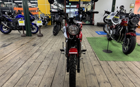 HONDA CT125 HUNTER CUB JA55