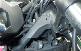 KAWASAKI Z250 Gen.2 2025 EX250P