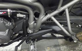 TRIUMPH TIGER 800 2019