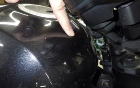 HONDA REBEL 1100 DCT 2021 SC83