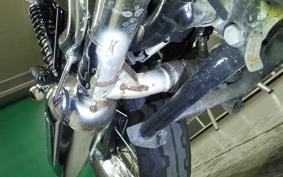 KAWASAKI W800 2016 EJ800A