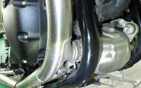 TRIUMPH SPEED TWIN 2019