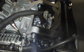 YAMAHA CYGNUSｸﾞﾘﾌｧｽ 2024 SEJ4J