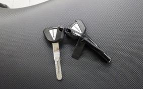 KAWASAKI NINJA1100SX 2025 ZXT10H