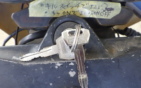 SUZUKI GOOSE 250 NJ46A