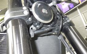 KAWASAKI Z900RS 2020 ZR900C