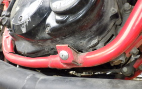 YAMAHA RZ250RR 2025 29L