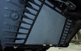 YAMAHA MT-25 A RG74J