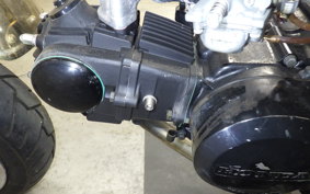 HONDA MONKEY 1999 Z50J