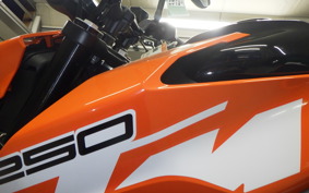 KTM 250 DUKE 2013