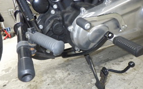 HARLEY FXST1750 2021
