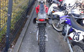 KAWASAKI KLX250 SR LX250E