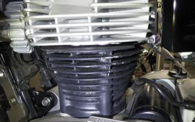 KAWASAKI W800 2020