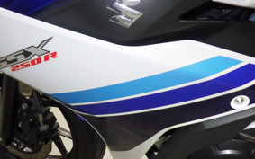 SUZUKI GSX250 R 2006