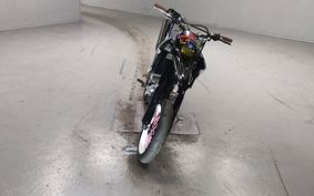 YAMAHA WR250X DG15J