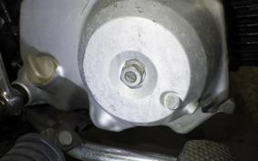 HONDA MONKEY 2017 Z50J