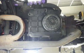 HONDA VTRF250 2024 MC33