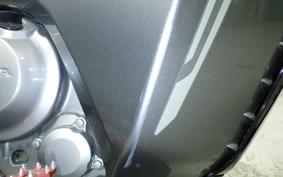 HONDA CRF250 RALLY MD44