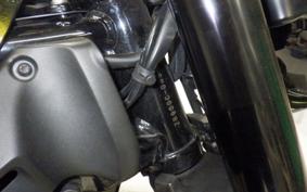 KAWASAKI Z900RS 2020 ZR900C