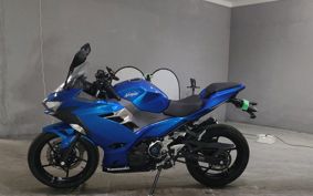 KAWASAKI NINJA 250 EX250P