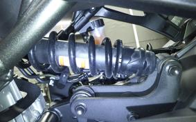 KAWASAKI ZX-4R SE 2023 ZX400P