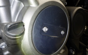 HARLEY RH975S 2024