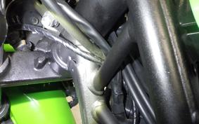 KAWASAKI NINJA 250 2 2018 EX250P