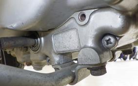 HONDA MONKEY 2024 Z50M