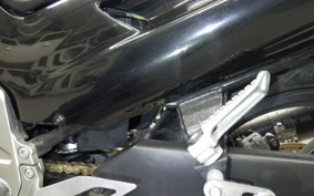 KAWASAKI ZZ-R250 2022 EX250H