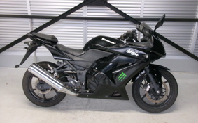 KAWASAKI NINJA 250R EX250K
