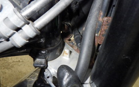 HONDA MONKEY 125 JB02